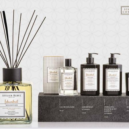 La Maison Bleue Juillac  Экстерьер фото